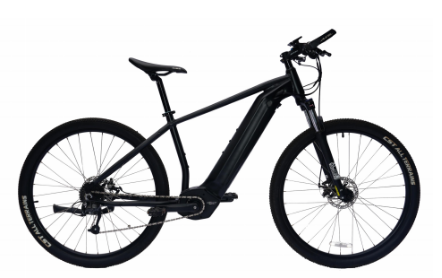 How Do I Choose An Electric Mountain Bike?