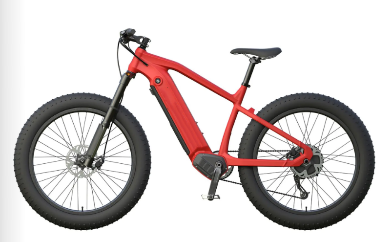 2024 New Fat Tire E-bike